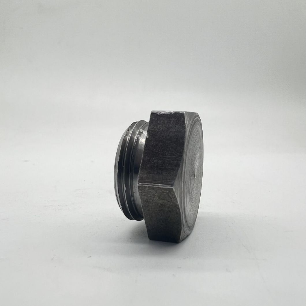Hex Screw Plug M22X1.5 C1215