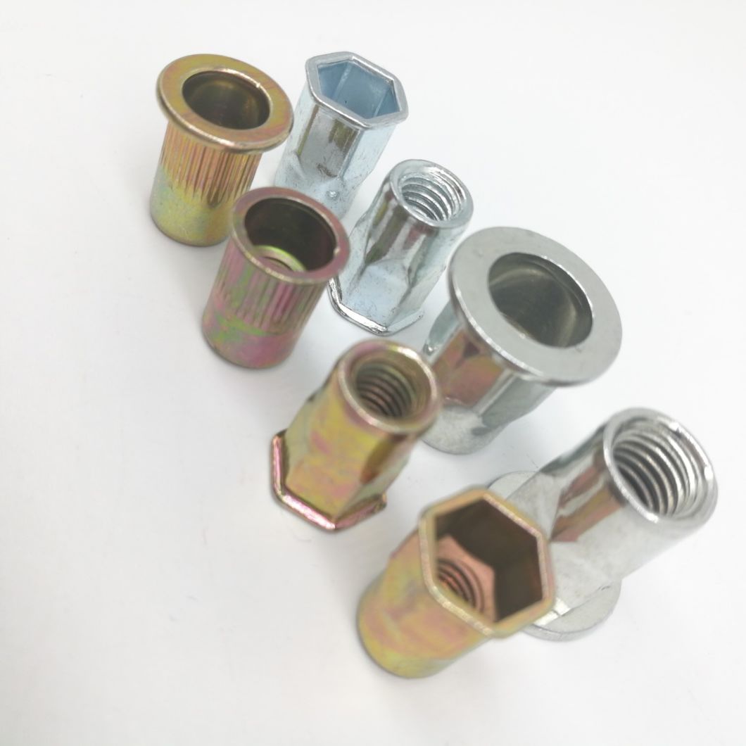 Flat Head Round Body Rivet Nut in Stock