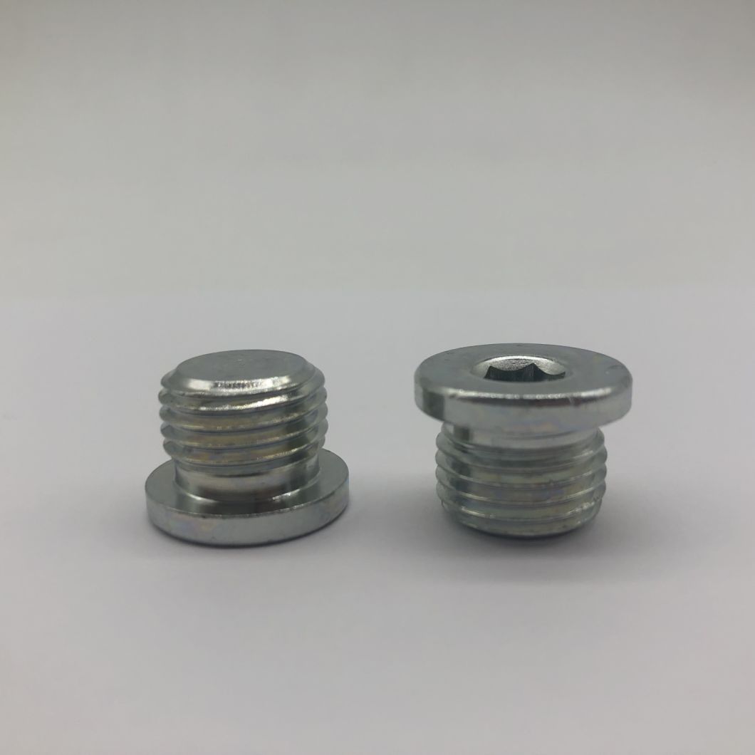 Pipe Plug Hollow Hex O-Ring, Screw Plug 9/16-18unf