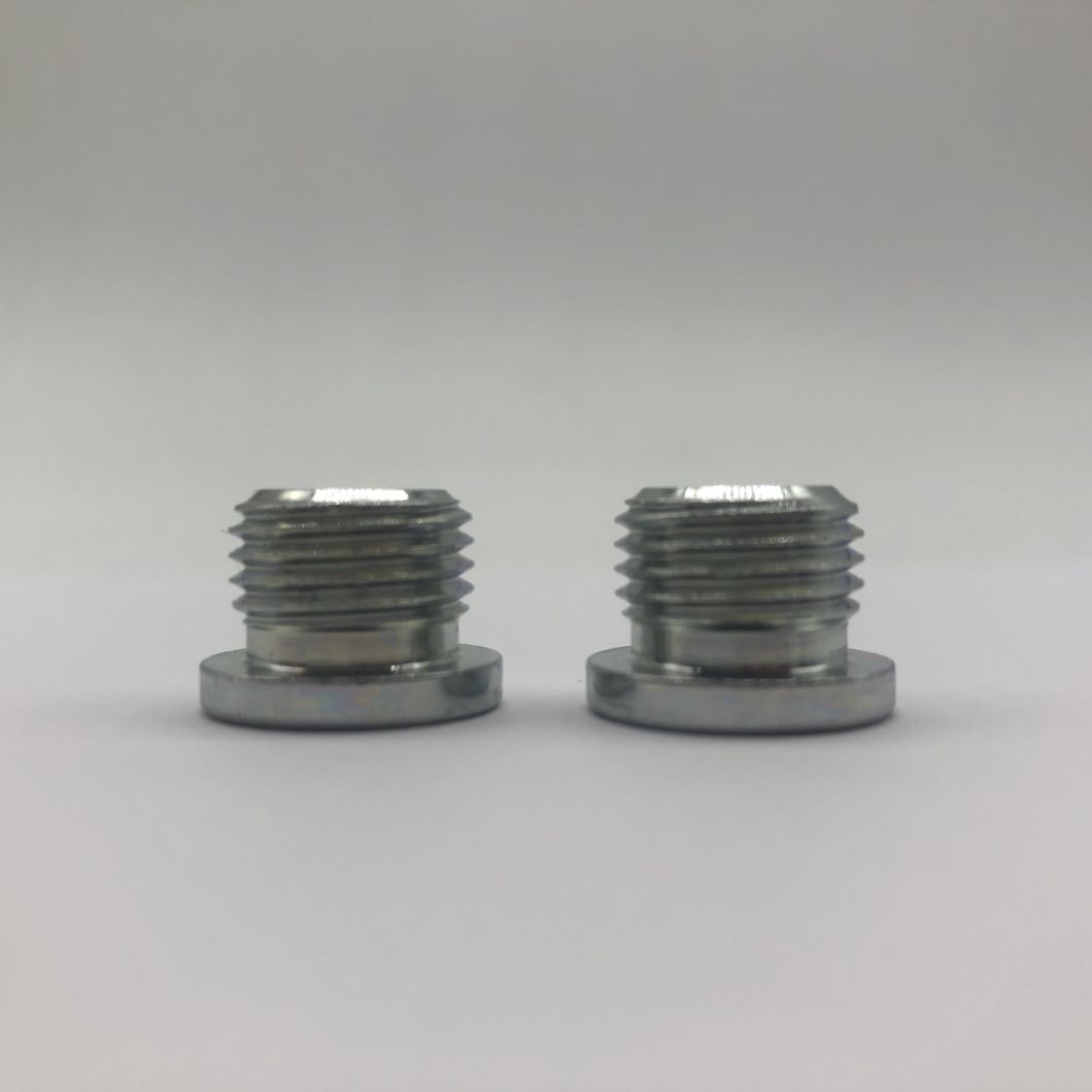 Pipe Plug Hollow Hex O-Ring, Screw Plug 9/16-18unf