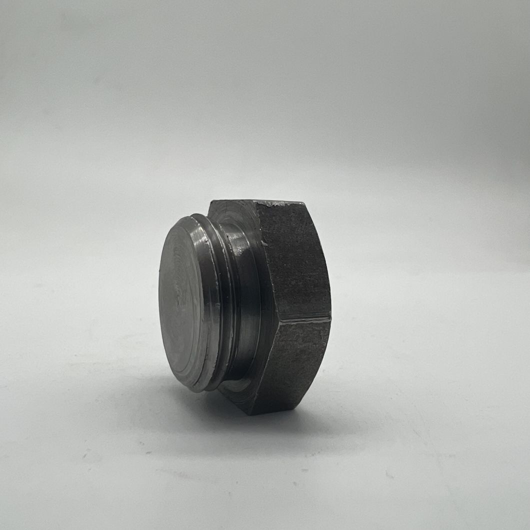 Hex Screw Plug M22X1.5 C1215