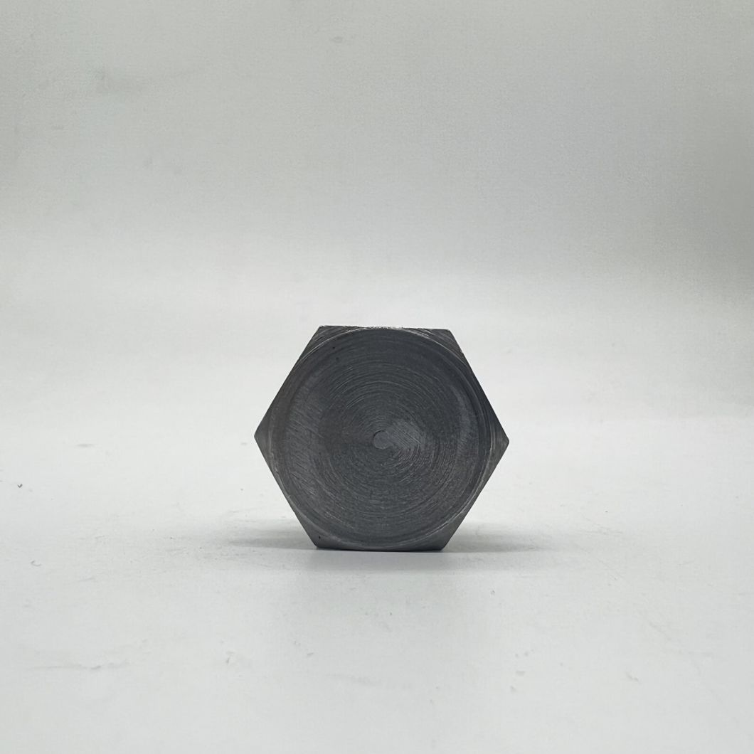 Hex Screw Plug M22X1.5 C1215