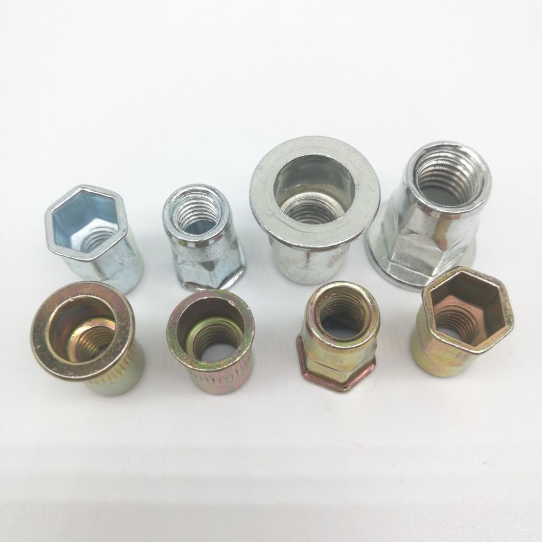Flat Head Round Body Rivet Nut in Stock