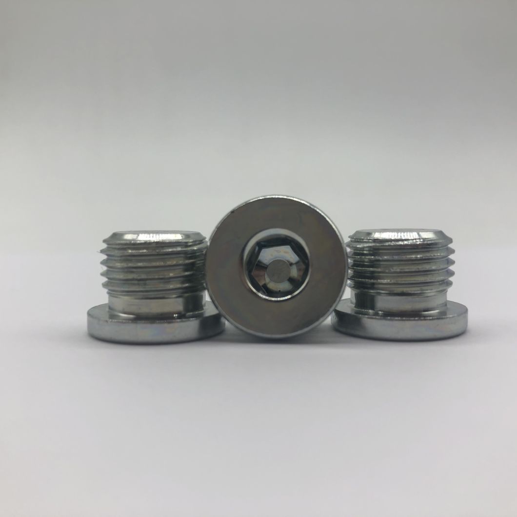 Pipe Plug Hollow Hex O-Ring, Screw Plug 9/16-18unf