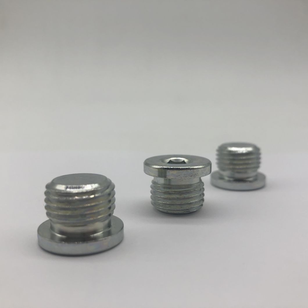 Pipe Plug Hollow Hex O-Ring, Screw Plug 9/16-18unf