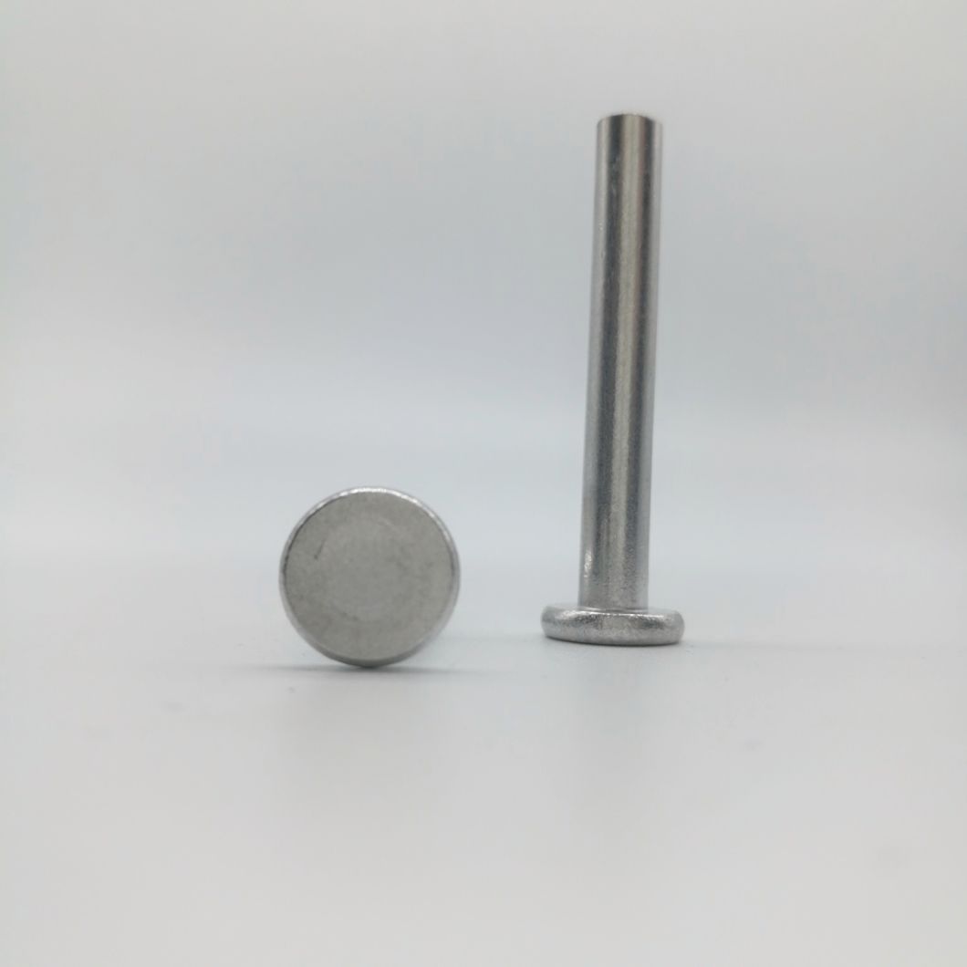 Raised Countersunk Head Rivet for Auto Parts