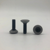 Tx30 Screw Pan Head Screw Injection Screw Torx