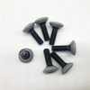 Tx30 Screw Pan Head Screw Injection Screw Torx