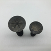 Plow Screw Plow Bolt for Railway and Guardrail Asmeb18.9