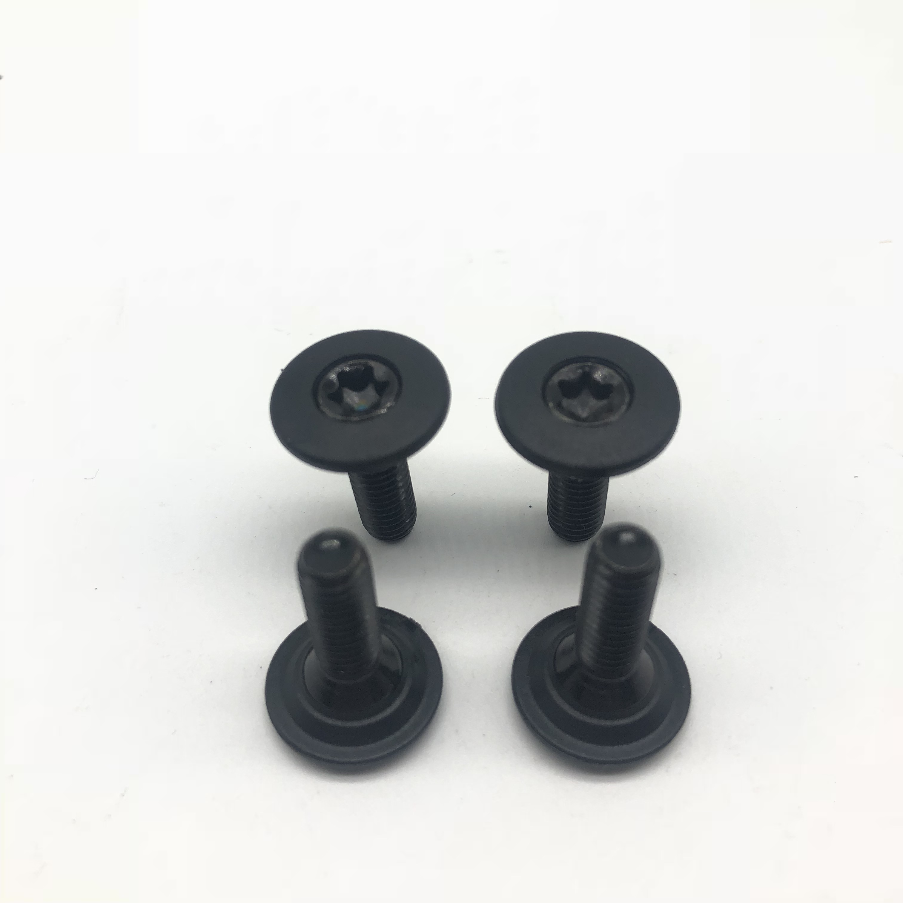 Injection Screw M6 Torx Screw