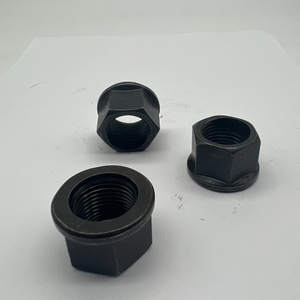 DIN74361 B Wheel Nut M18X1.5 Cl10 Hex Nut with Collar