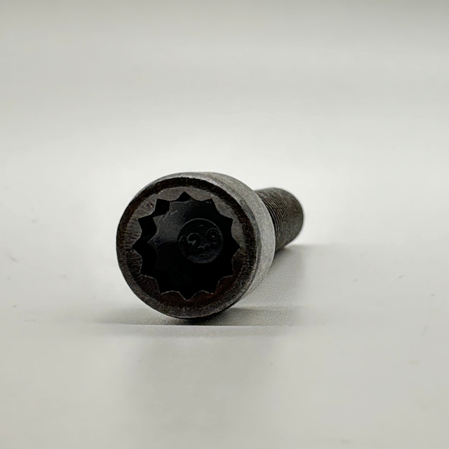 Torx 12Point Cup Screw M10x48 Class12.9 