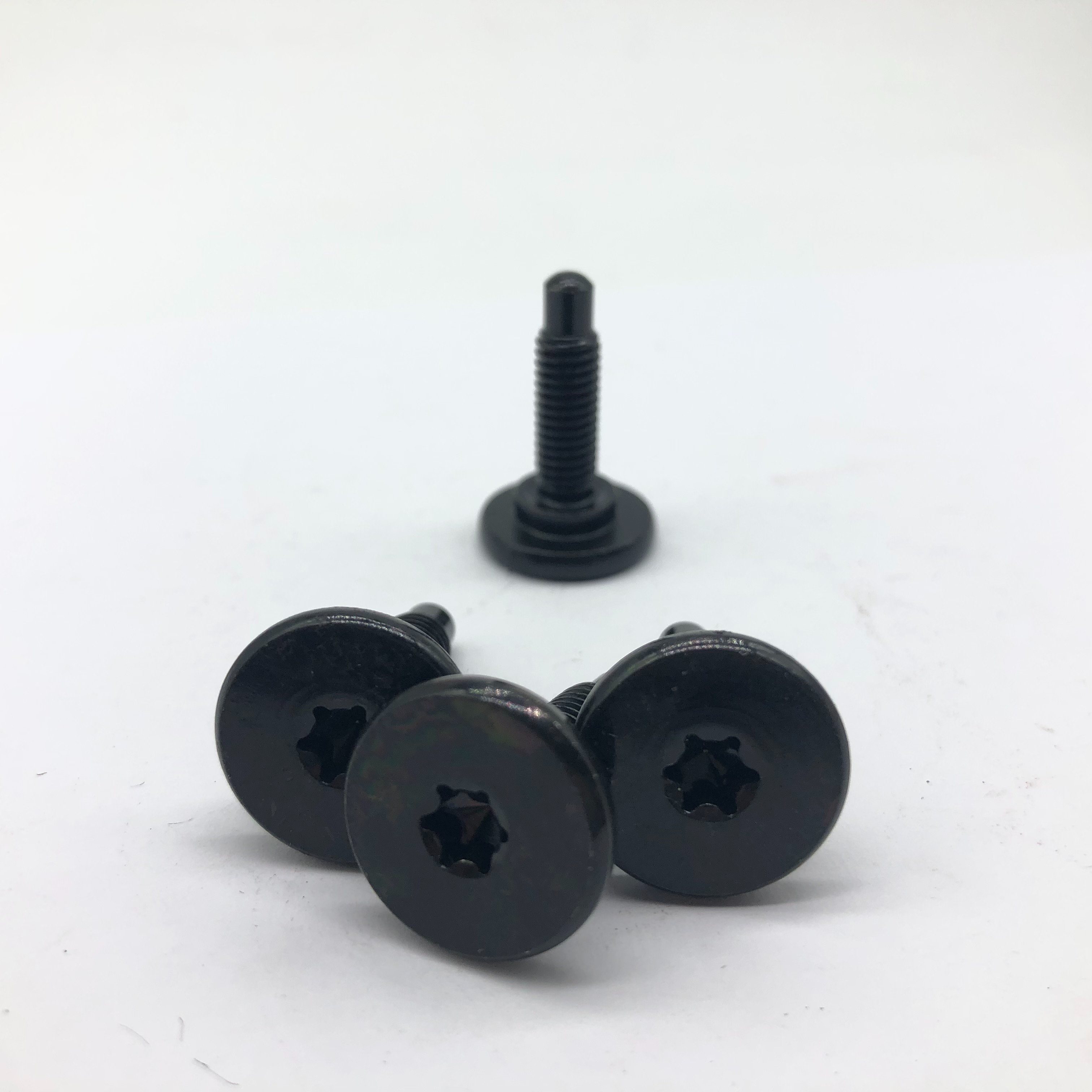 Torx Screw Step Screw Pan Head Screw for Auto Parts