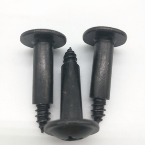 Torx Screw Tapping Screw Window Screws Round Head Screw