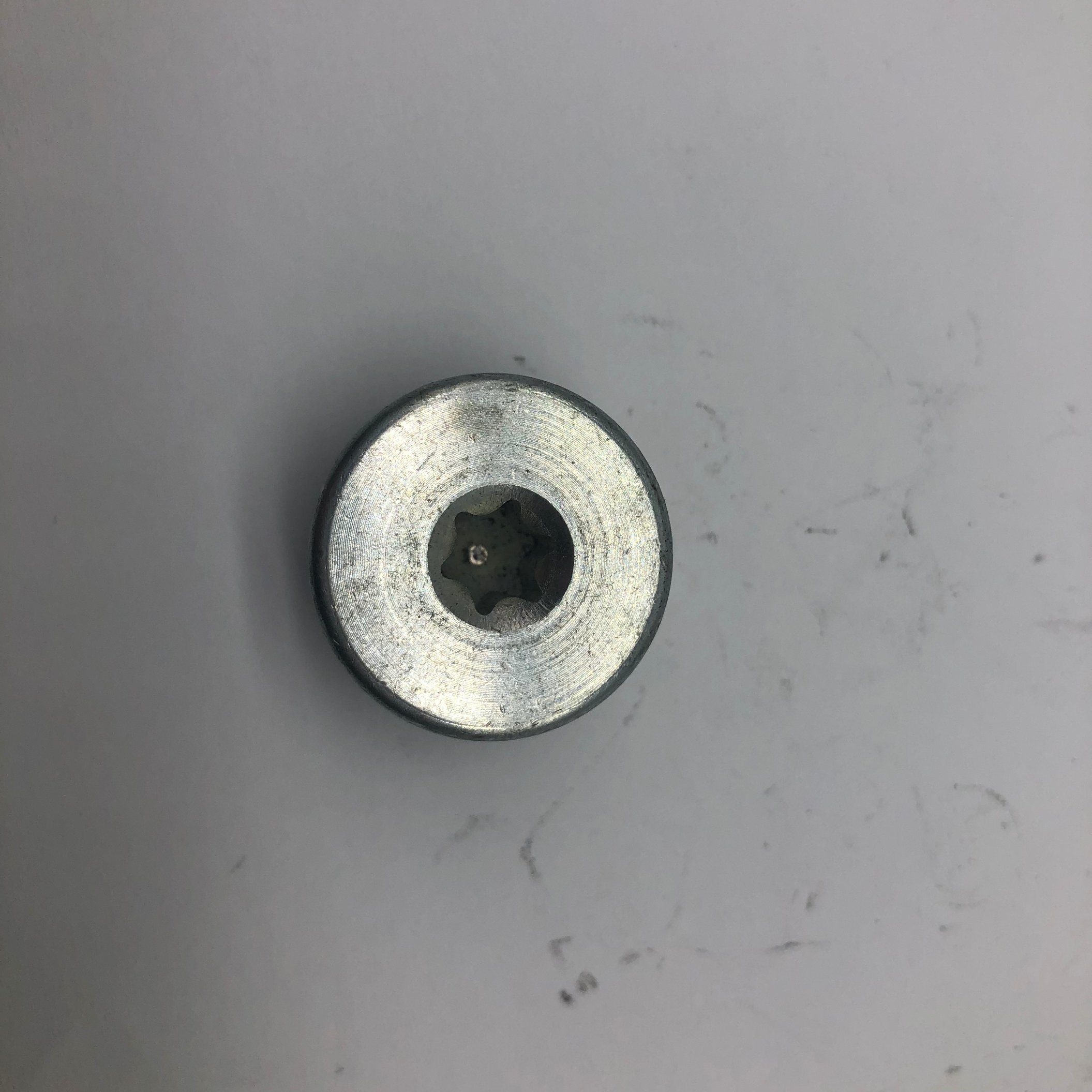 Screw Plug Screw with Rubber for Sealing Torx30