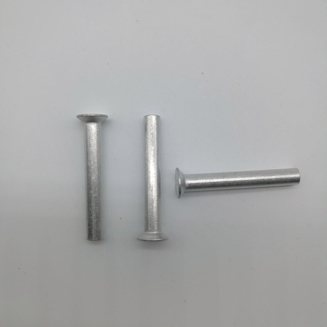 Countersunk Head Cold Forming Solid Rivet