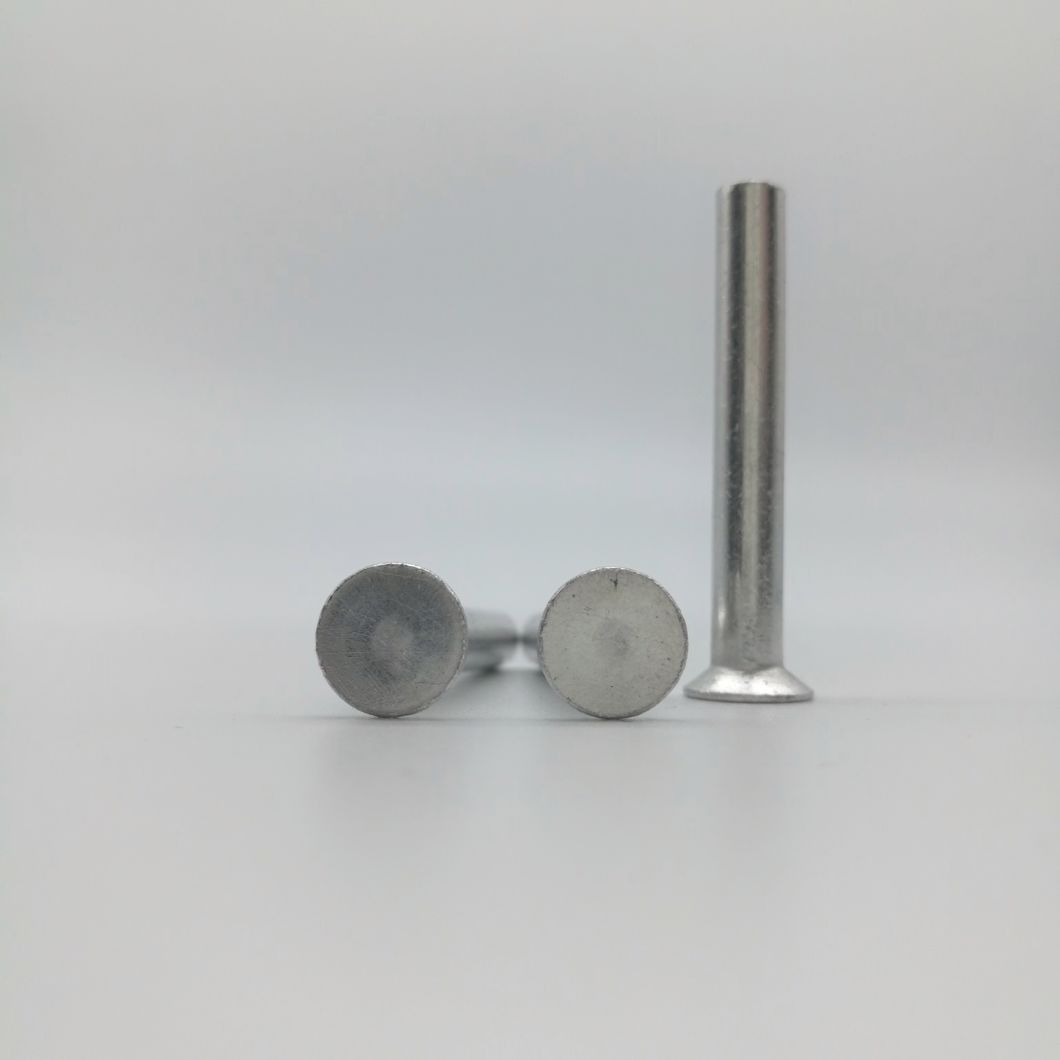 Countersunk Head Cold Forming Solid Rivet
