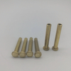Hollow Rivet Brass Rivet Tubular Rivet