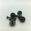 Plain and Spring Washer Pan Head Self Tapping Screw