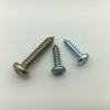 Self Tapping Screw Tapping Screw Drilling Screw