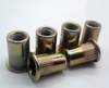 Flat Head Round Body Rivet Nut 