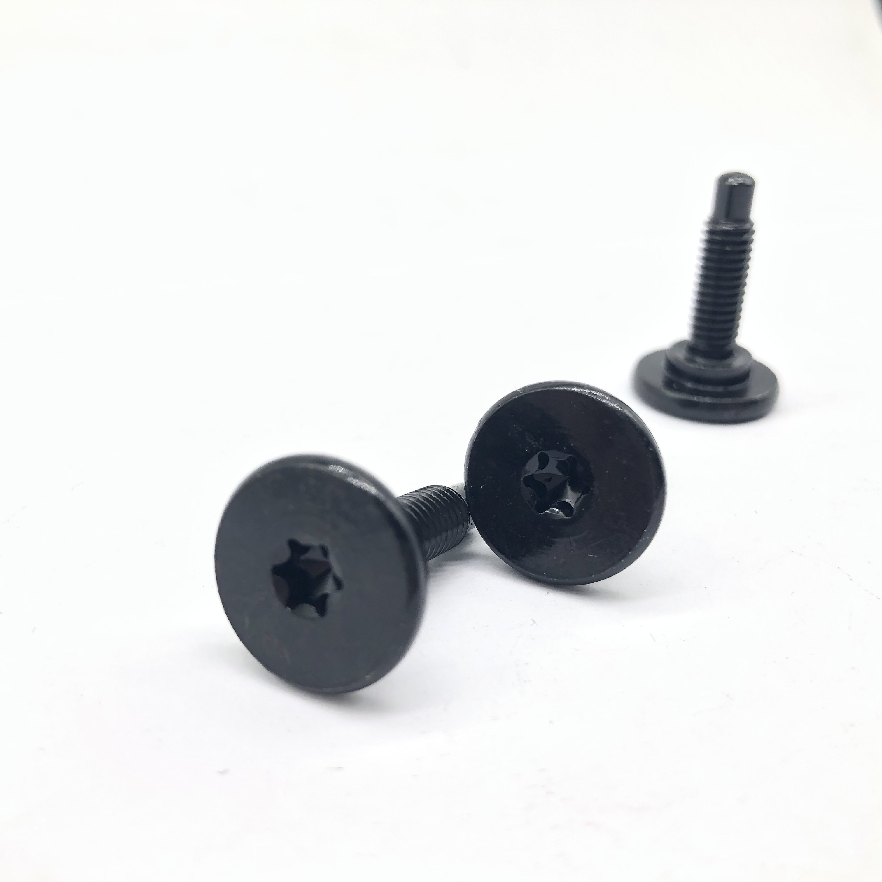 Torx Screw Step Screw Pan Head Screw for Auto Parts