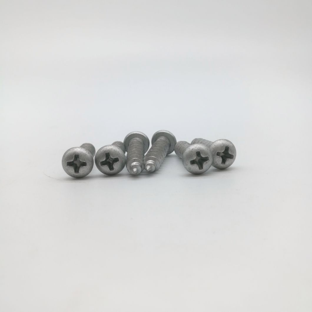 Pan Head Phillip Drive Self Tapping Screw