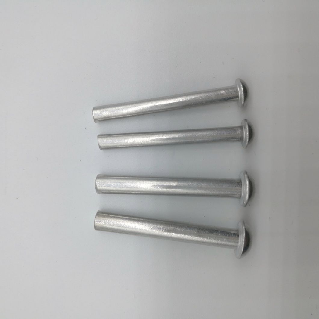 Raised Countersunk Head Rivet for Auto Parts