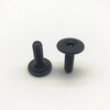 Injection Screw M6 Torx Screw