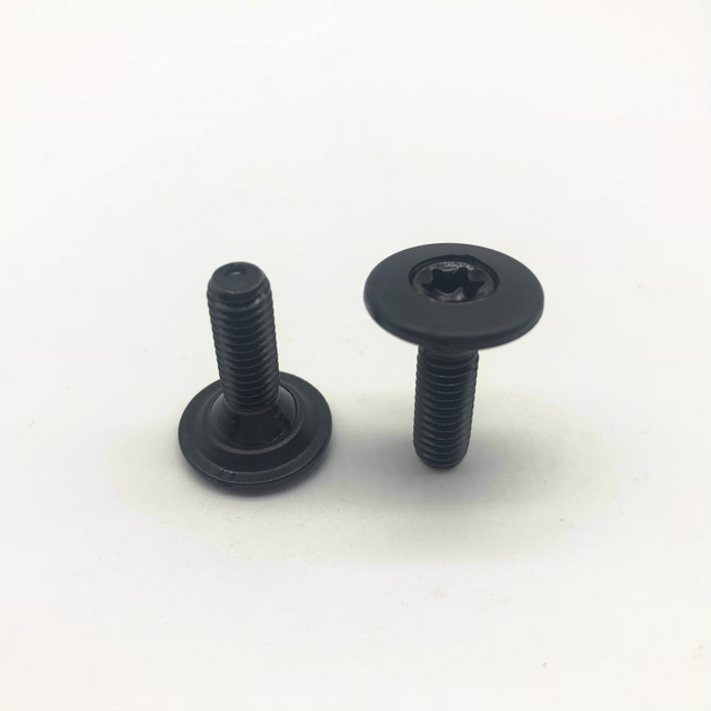 Injection Screw M6 Torx Screw