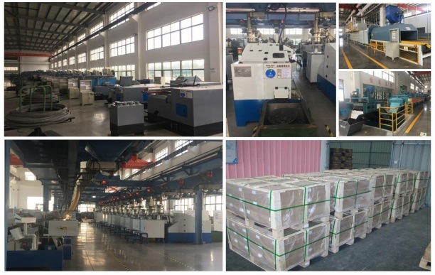 Hex Flange Tapping Screw Wood Screw for Europe