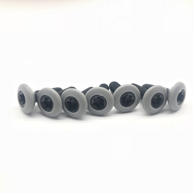 Tx30 Screw Pan Head Screw Injection Screw Torx
