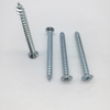 DIN7983 Phillips Raised Countersunk Head Tapping Screw