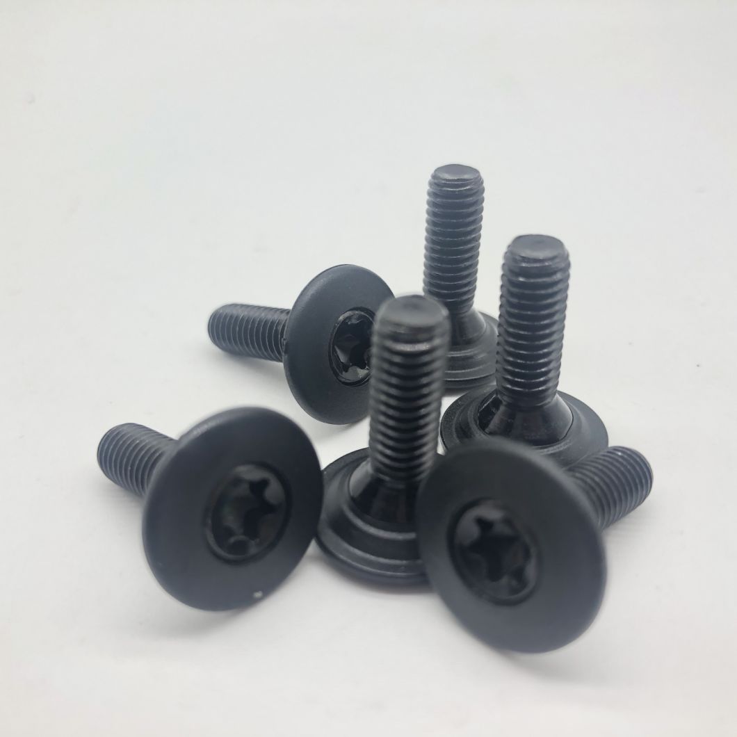 Injection Screw M6 Torx Screw