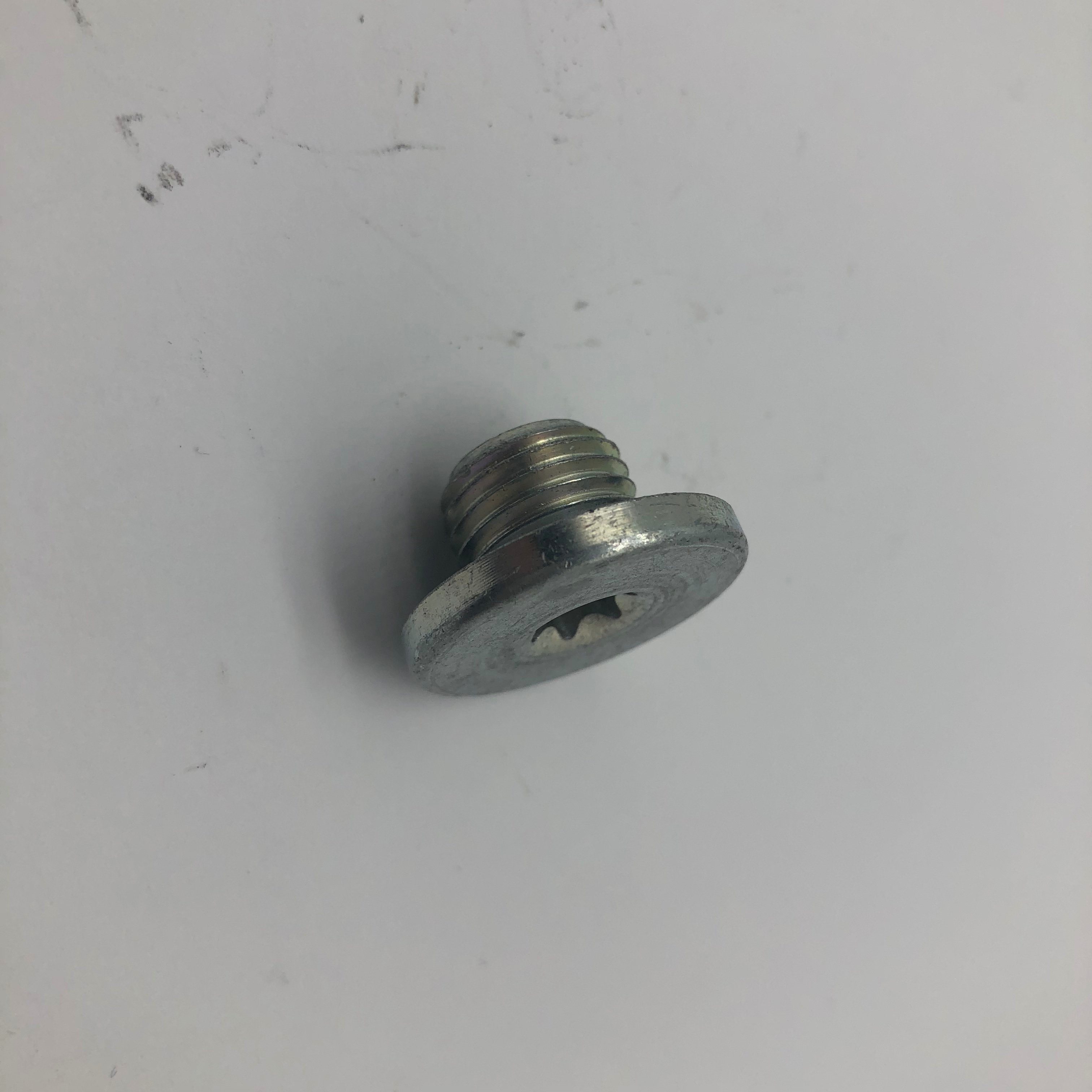 Screw Plug Screw with Rubber for Sealing Torx30