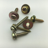 Plain and Spring Washer Pan Head Self Tapping Screw