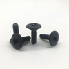 Injection Screw M6 Torx Screw
