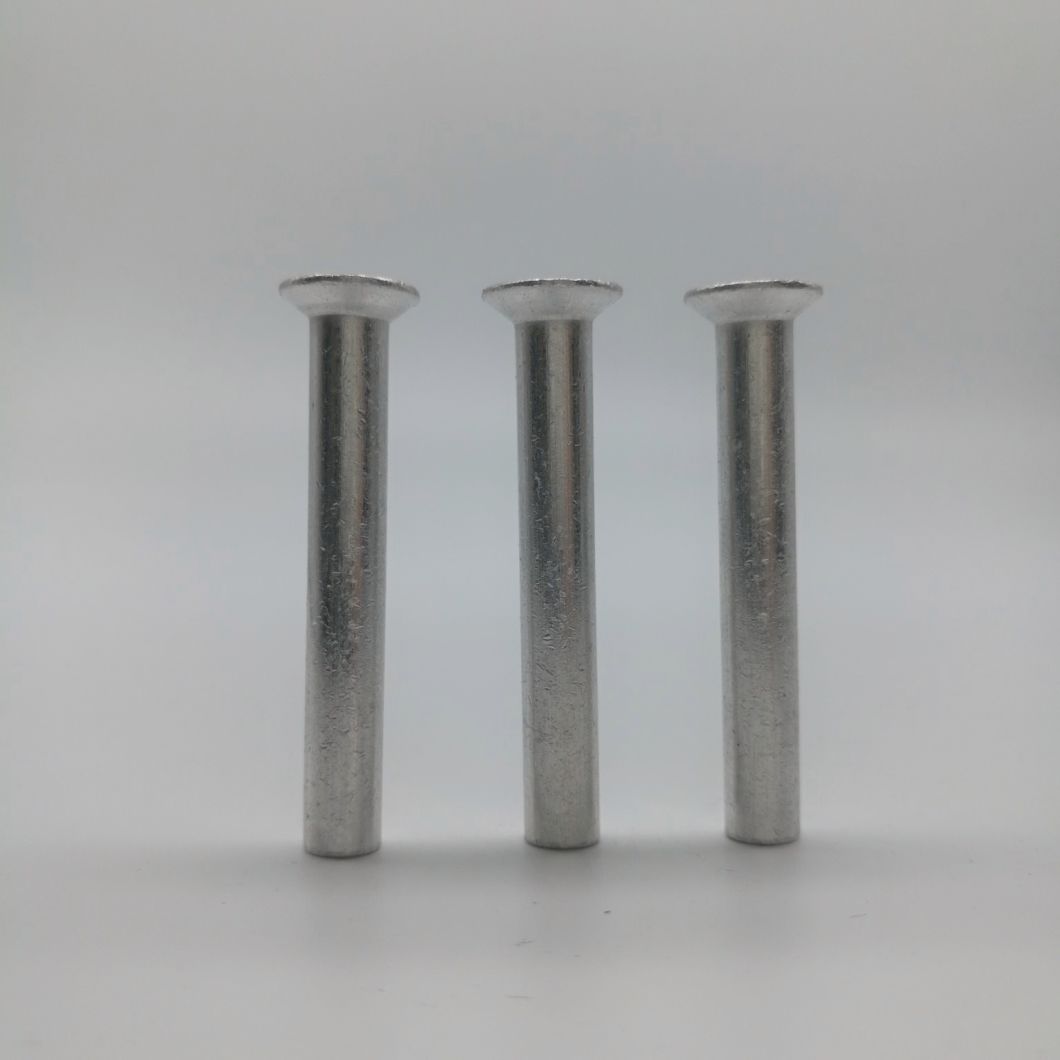 Countersunk Head Cold Forming Solid Rivet