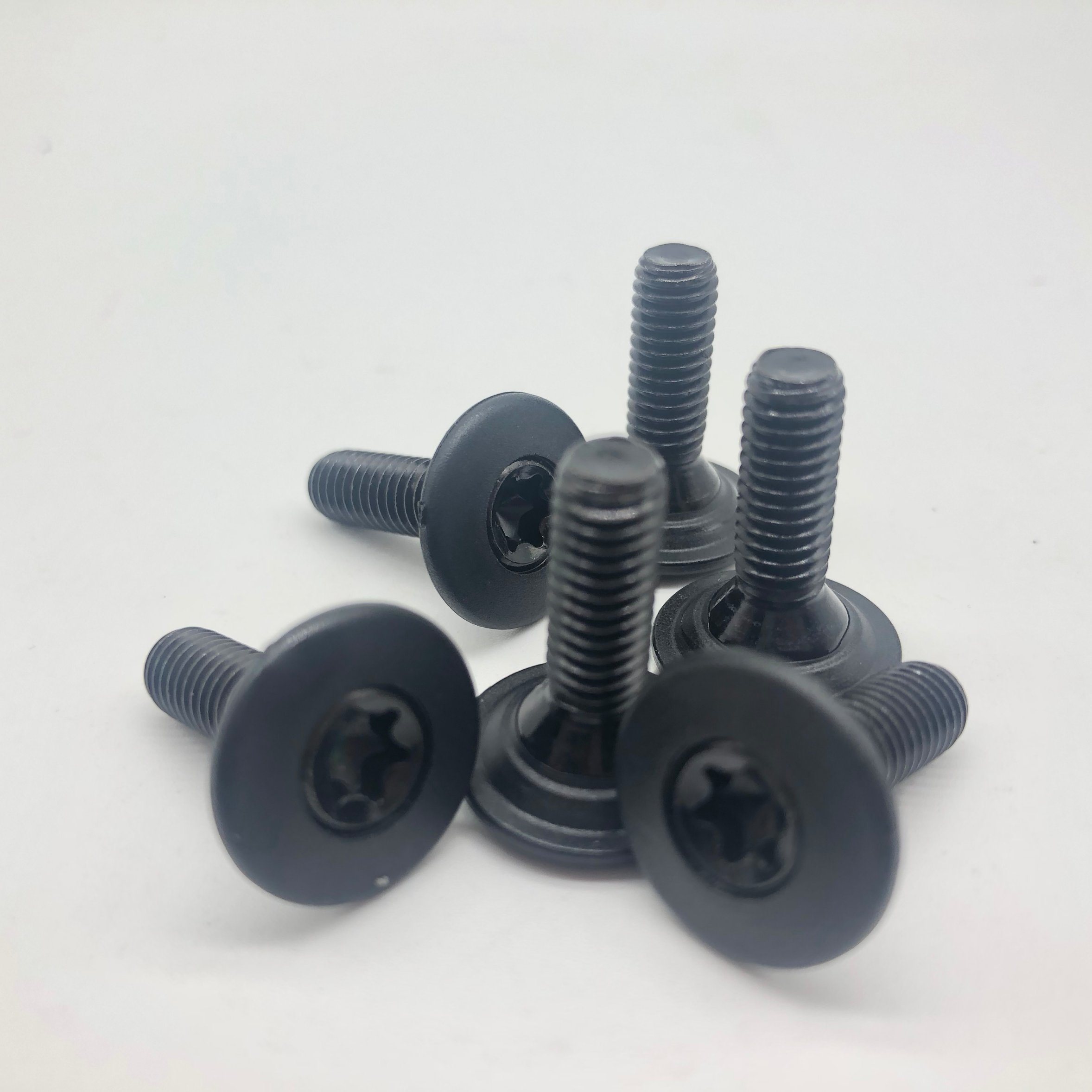 Injection Screw M6 Torx Screw