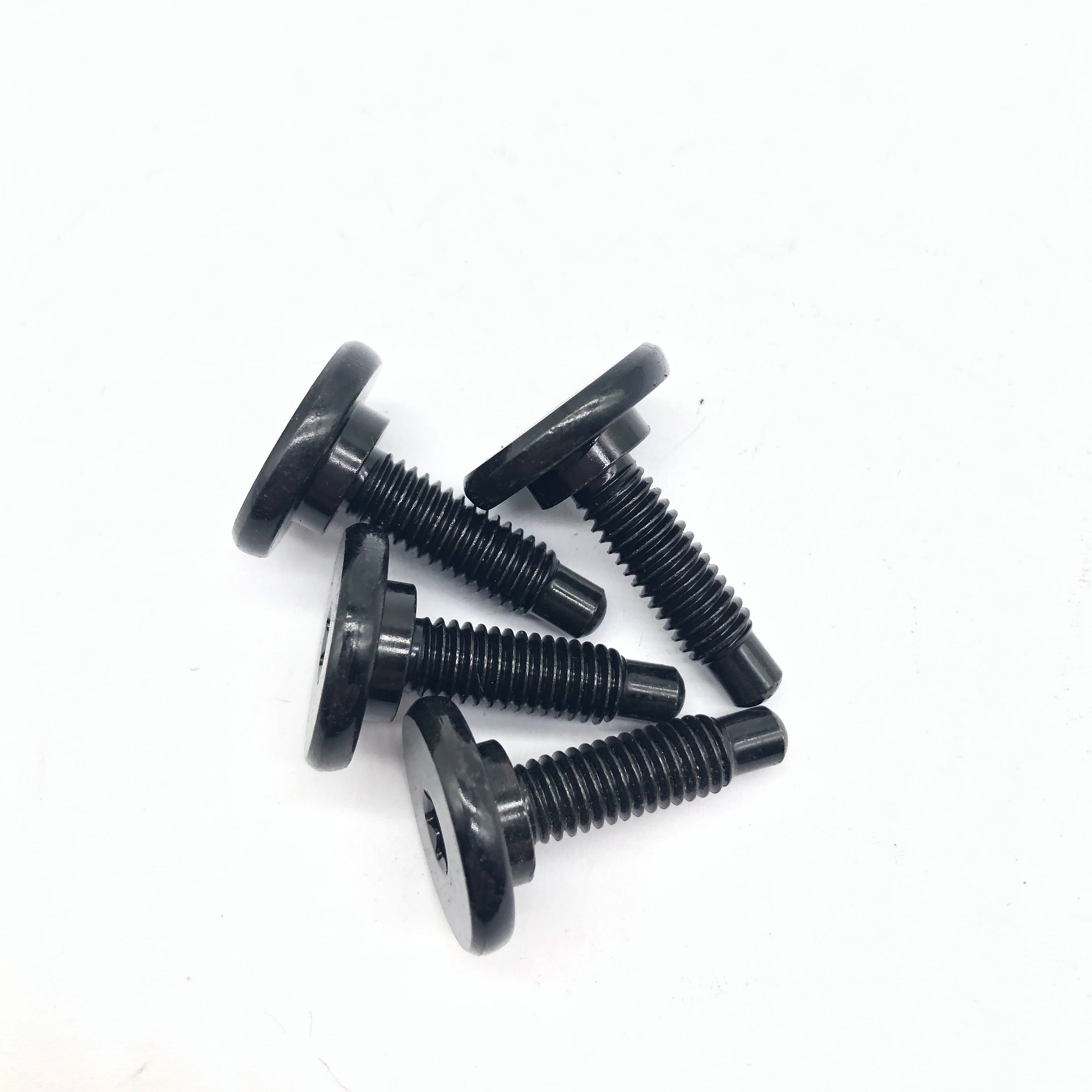 Torx Screw Step Screw Pan Head Screw for Auto Parts