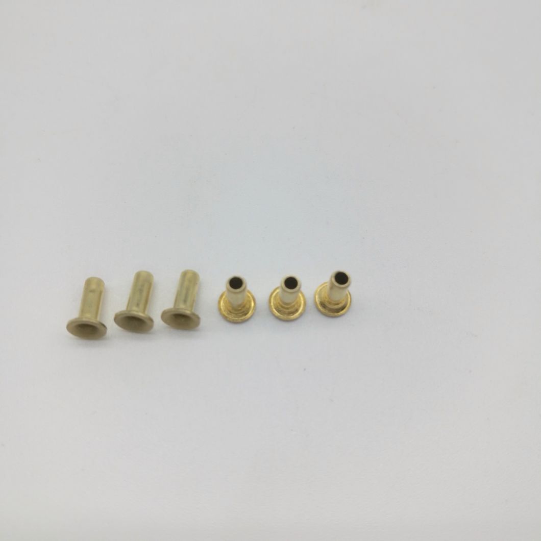 Sex Rivet Sex Tubular Rivet Sex Screw