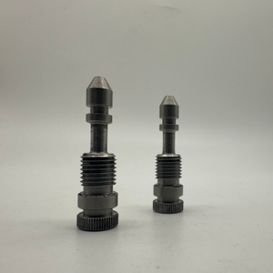 SS303 Special Turning Parts Shaft