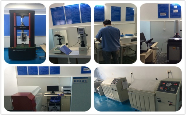 Torx Screw Torx T30 Geomet Coating