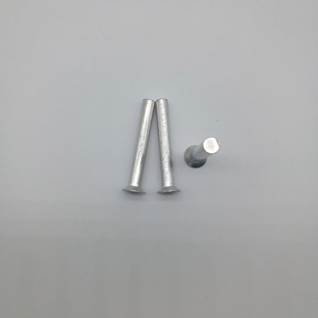 Countersunk Head Cold Forming Solid Rivet