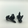 Plain and Spring Washer Pan Head Self Tapping Screw