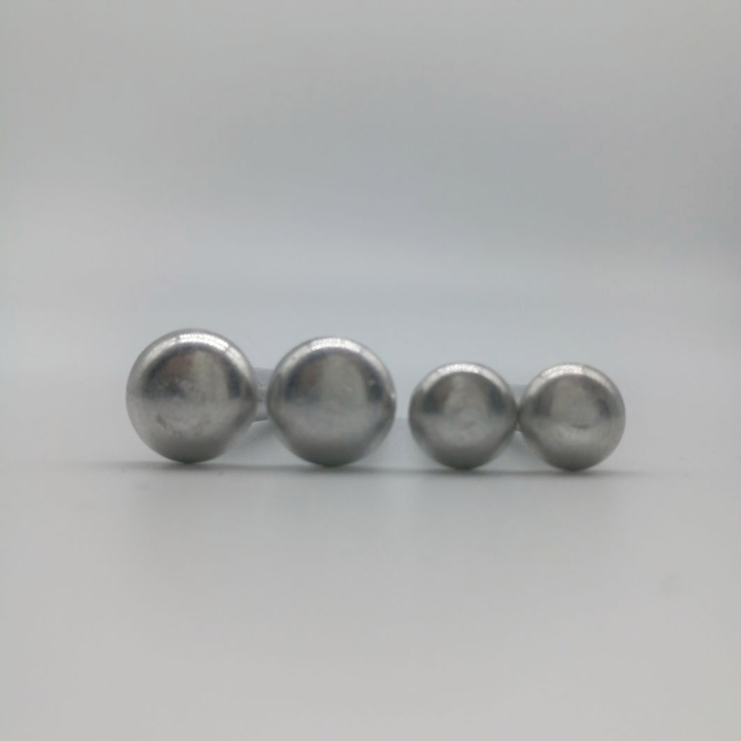 Raised Countersunk Head Rivet for Auto Parts