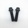 Cylinder Head Bolt 12 Point Flange Bolt Screw