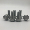 Flanged Bolt Silo Bolts for Grain Storage Silos